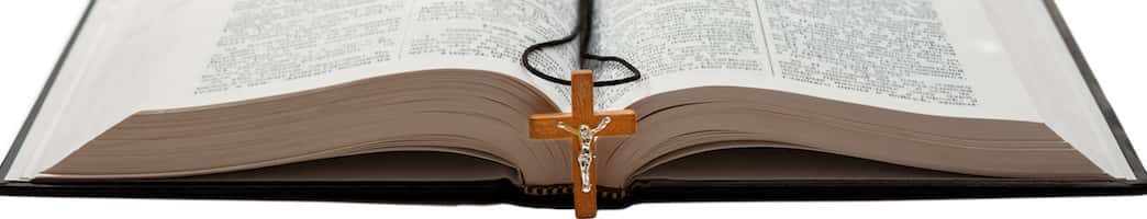 books of the bible