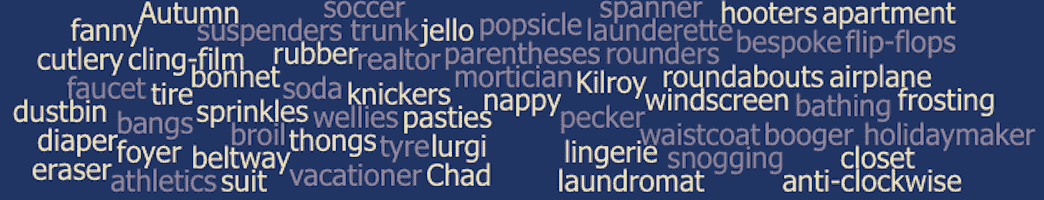 british vs american words