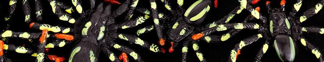 common phobias